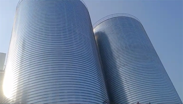 全椒2座混凝土高架卷板仓